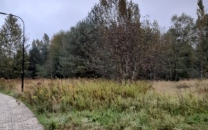 zdjęcie nieruchomości (2)