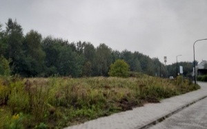 zdjęcie nieruchomości (4)