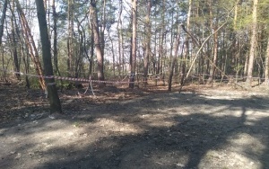NOWE ZAPADLISKO W TRZEBINI (3)