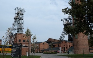 30 HEKTARÓW DLA RYBNIKA (1)