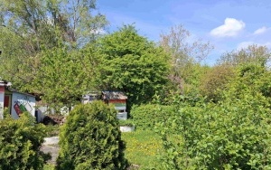 Foto działki (9)