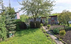 Foto działki (10)