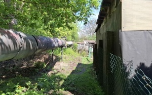 Foto działki (5)