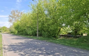 Foto działki (9)