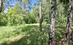 Foto działki (7)