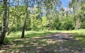 Foto działki (8)