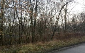Zd.2 Działki Sosnowiec ul. Minerów..