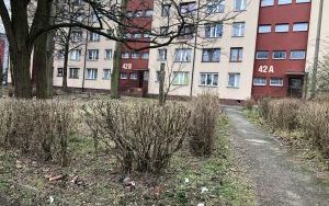 Zdjęcie nieruchomości