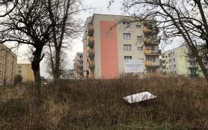 Widok nieruchomości