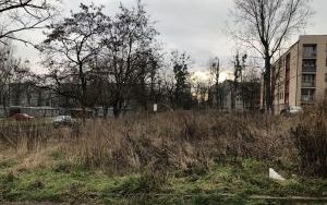Widok nieruchomości