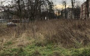Widok nieruchomości