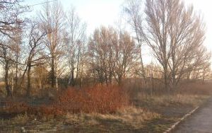 Zd.1 Działki Sosnowiec ul. Wagowa, Świerkowa