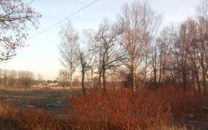 Zd.2 Działki Sosnowiec ul. Wagowa, Świerkowa