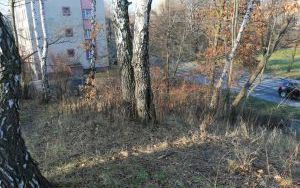 Widok z,terenu działki w kierunku wschodnim. Skarpa o znacznym nachyleniu. Sąsiadująca zabudowa mieszkaniowa.