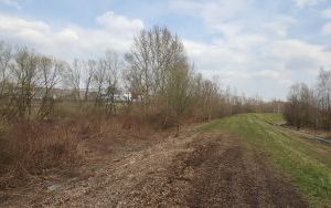 zdjęcie (2)