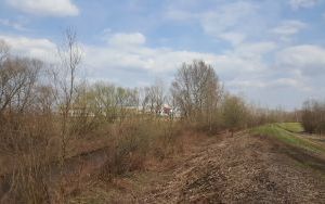 zdjęcie (4)