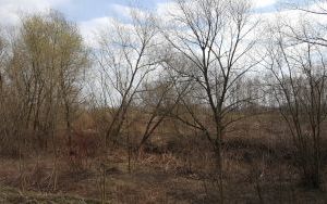 zdjęcie (6)