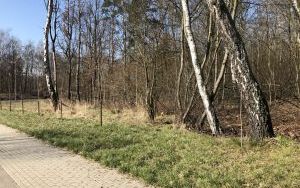 Widok nieruchomości (4)