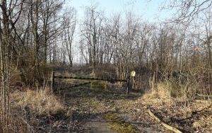 widok nieruchomości (1)