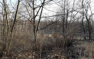 widok nieruchomości (5)
