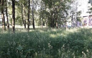 WIDOK 2 Działka inwestycyjna Sosnowiec, ul. Okulickiego 