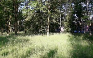 WIDOK 3 Działka inwestycyjna Sosnowiec, ul. Okulickiego 