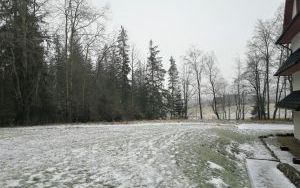 Teren nieruchomości, widok w kierunku południowo wschodnim