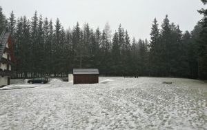Teren nieruchomości, widok w kierunku północno - zachodnim