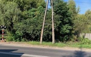 zdjęcie nieruchomości