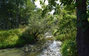 Z biegiem potoku (4)
